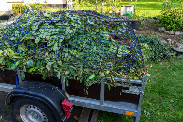 Best Carpet Removal and Disposal  in Waterloo, IA